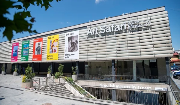 Art Safari New Museum
