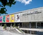 Art Safari New Museum