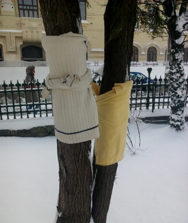Inclusiv pulovere au fost puse in copaci