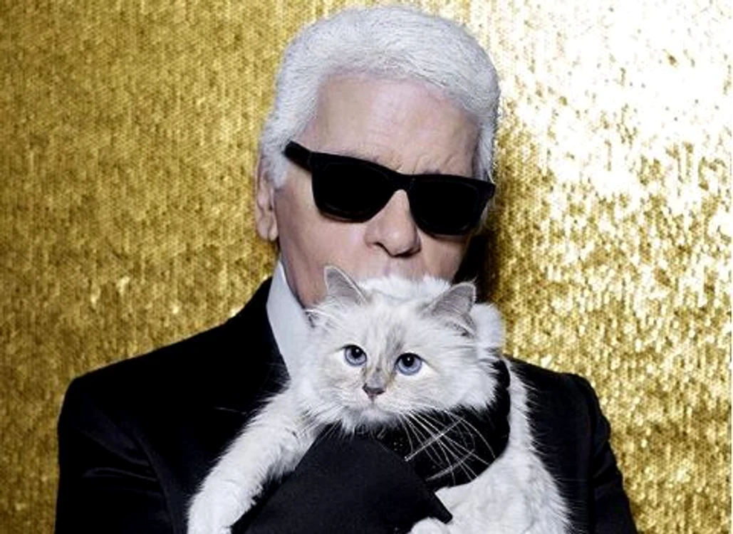 Karl Lagerfeld a făcut-o cea mai bogată mâţă din lume pe Choupette Foto: captură video