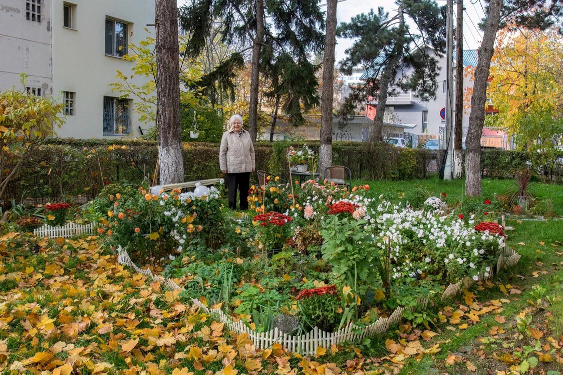 Cea mai frumoasă grădină urbană din Cluj-Napoca, în 2022. FOTO: Clujul cu Flori
