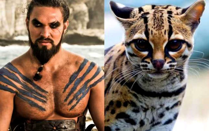 khal drogo stylenheat.com