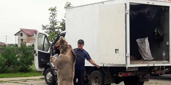 Masha ar trebui să ajungă la Zărneşti de 1 martie FOTO Asociaţia Milioane de Prieteni