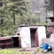 GIF Nepal