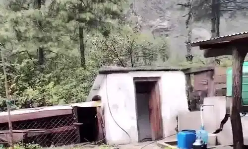 GIF Nepal