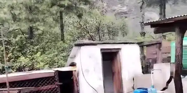 GIF Nepal