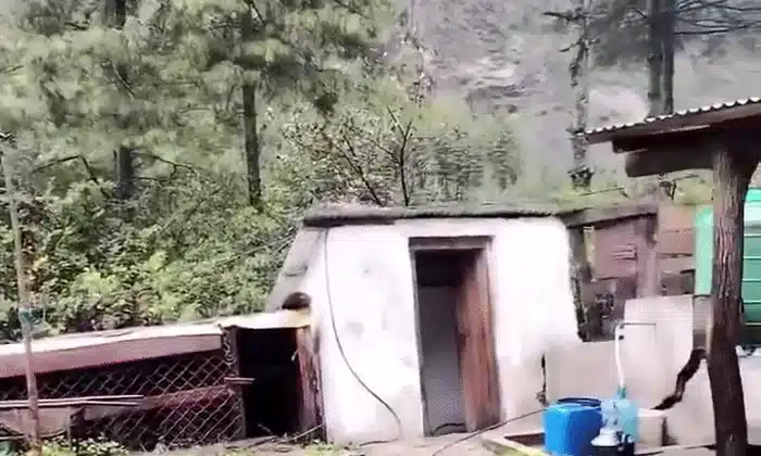 GIF Nepal