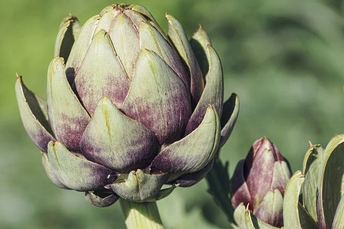 Scorțișoara este o sursă bună de antioxidanțifoto: pixabay.com