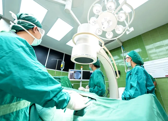 Rinichiul transplantat provine de la un porc Foto Pixabay (Arhivă)