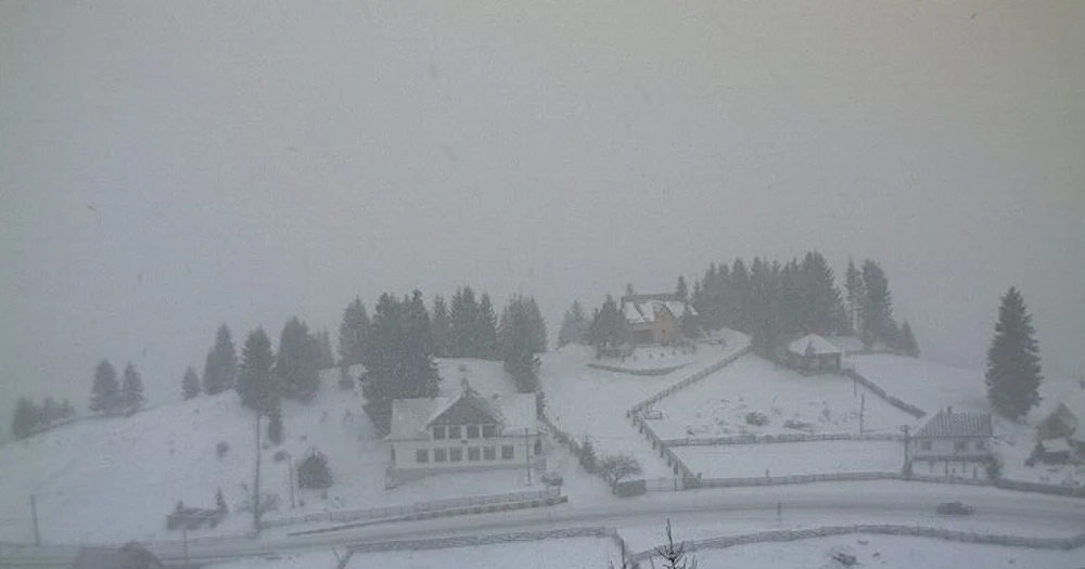 Județul în care s-a anunțat cod roşu de vânt puternic: rafale de peste 120 de km/h, zăpadă viscolită şi vizibilitate aproape de zero