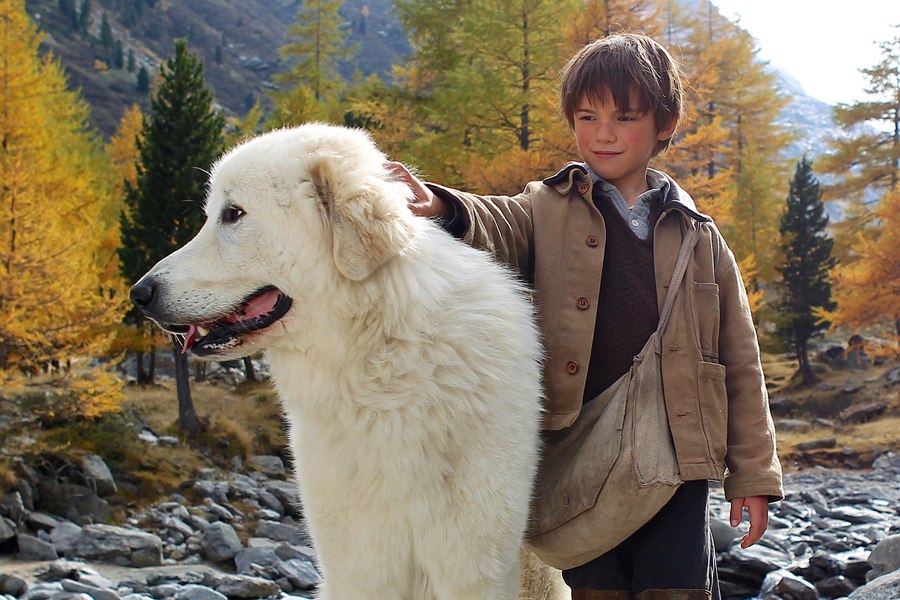 TIFF Education: filme, ateliere și super distracție pentru copii