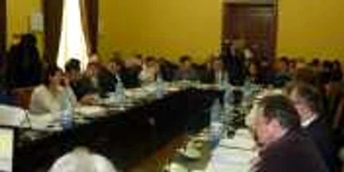 Consiliu Local Botosani