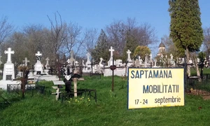 Cu ochii n 3,14 jpeg