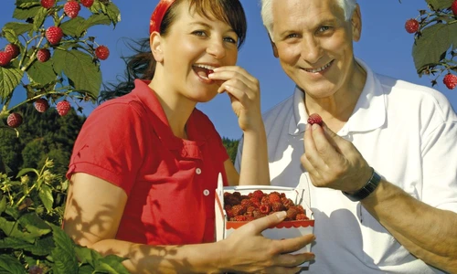 1 54445 original jpg jpeg