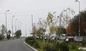 Sensurile de mers sunt delimitate de un scuar verde jpeg