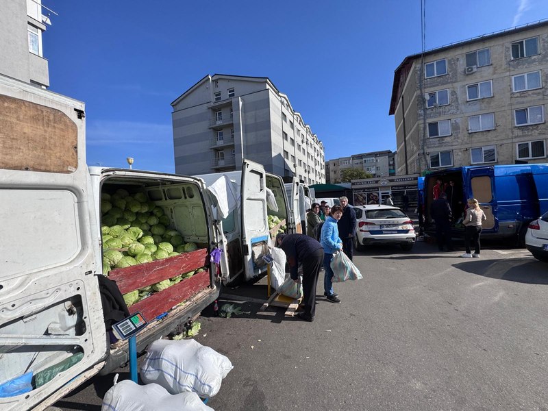Produsul care a asigurat an de an profit îi lasă în 2025 cu mâna la inimă pe legumicultori. „Era cultura care ne salva anul de muncă”