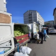 varza 2025 ferma ionut craciun, ghimpeteni, olt foto arhiva personala (5) jpeg