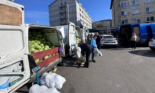 varza 2025 ferma ionut craciun, ghimpeteni, olt foto arhiva personala (5) jpeg