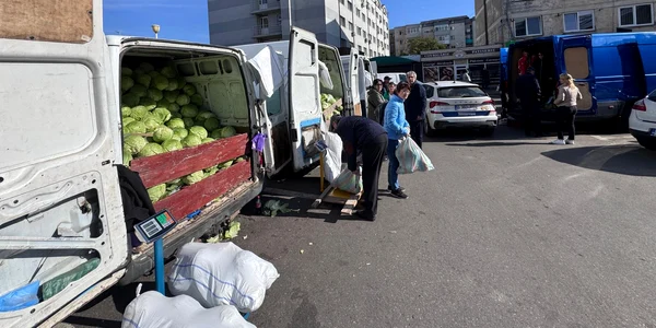 varza 2025 ferma ionut craciun, ghimpeteni, olt   foto arhiva personala (5) jpeg