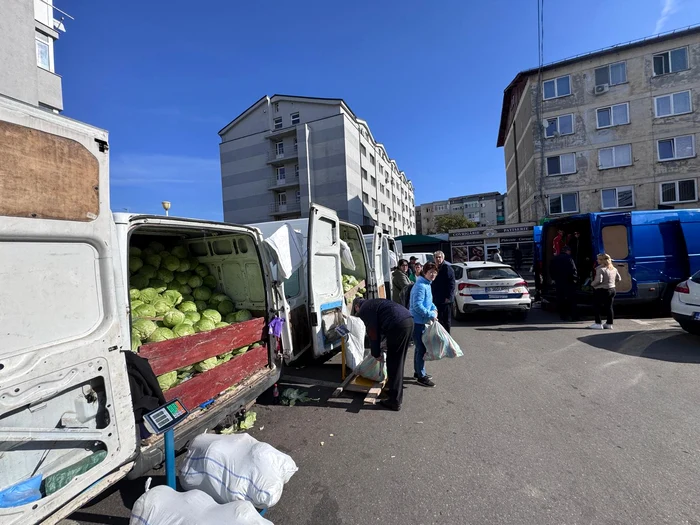 Varza se vinde cu preț mai mic decât în urmă cu cinci ani, spune fermierul FOTO: arhiva personală