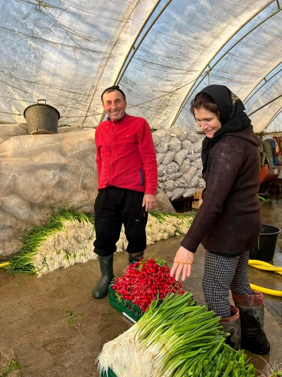 Legume produse în „Grădina din Băleni”. FOTO