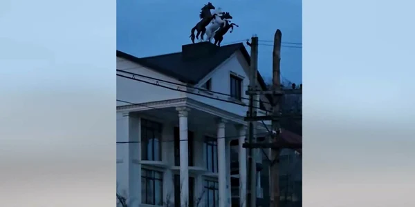 casa cai jpg