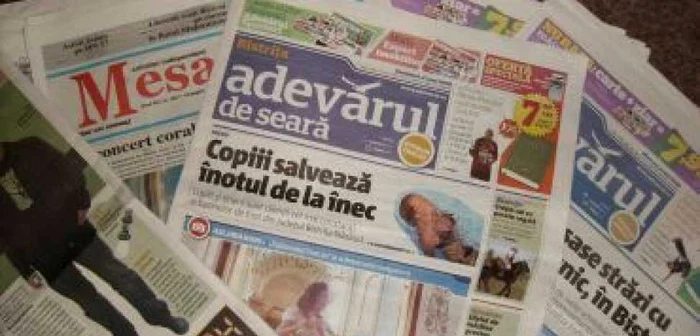 Bistriţa : 44 de câini au murit la noul adăpost de pe Simpozionului - Revista presei