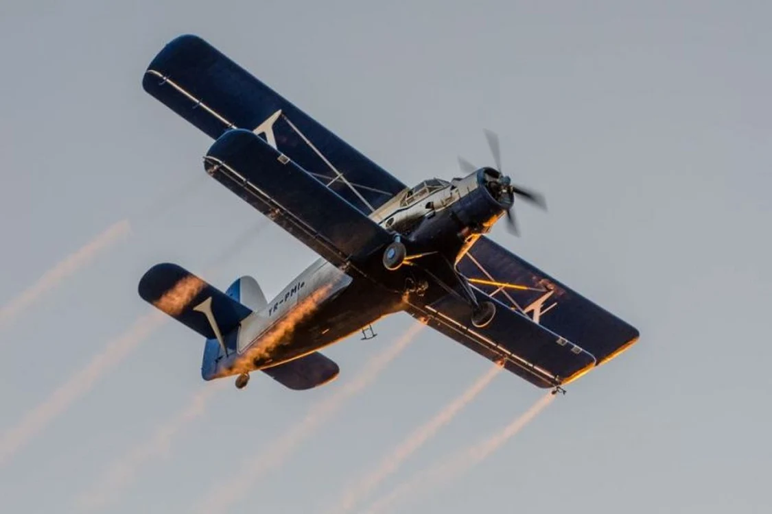 aviotratament
