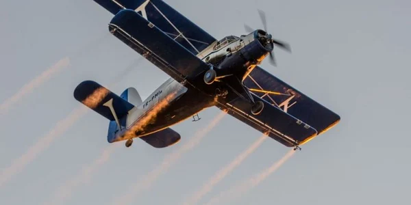 aviotratament
