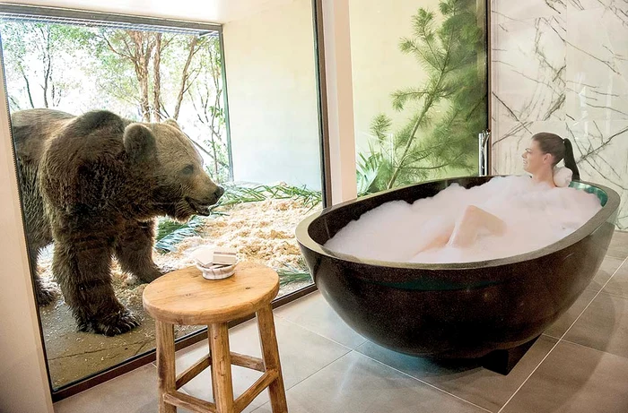 Ursul îţi ţine companie în timp ce te delectezi în spuma parfumată din cadăFoto: Guliver/Splashnews