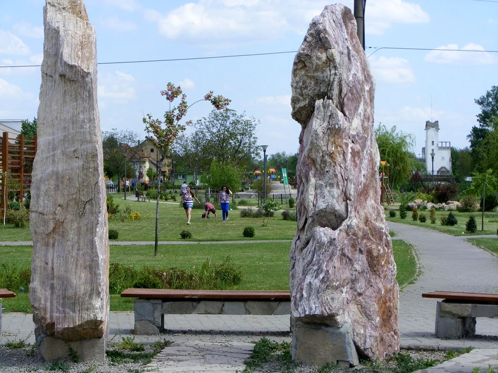 În Parcul Uzinei putem călca pe iarbă. FOTO: Vali Silaghi