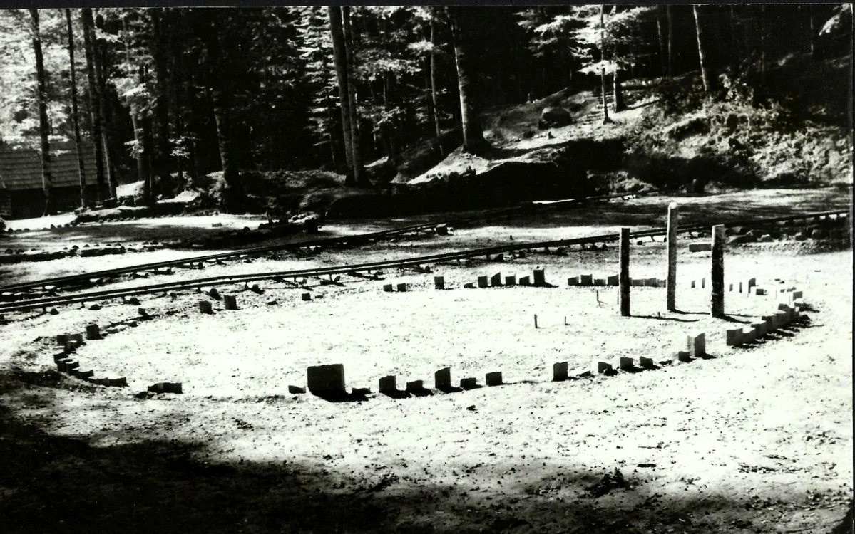 Sarmizegetusa Regia în anii '50. Ilustrată. Sursa: delcampe.net. 