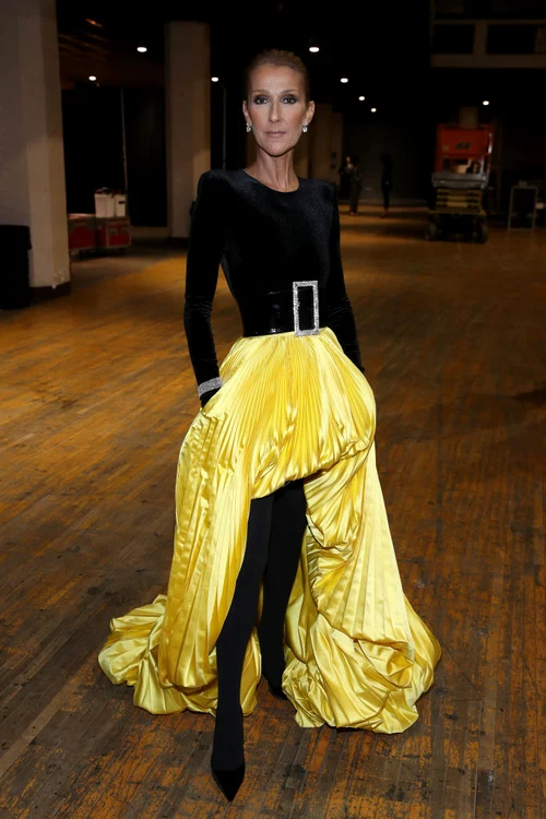 5 celine dion gettyimages 1134086049 jpg jpeg