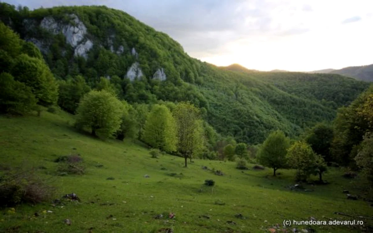 pesterea cioclovina foto daniel guta adevarul