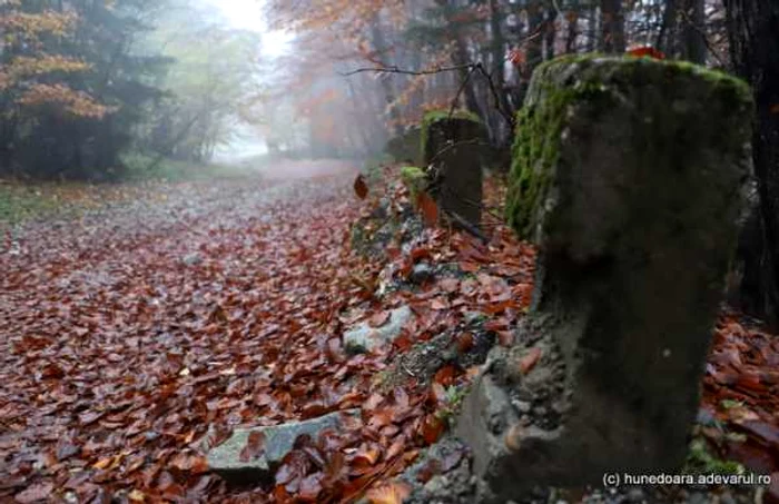 retezat hunedoara foto daniel guta adevarul