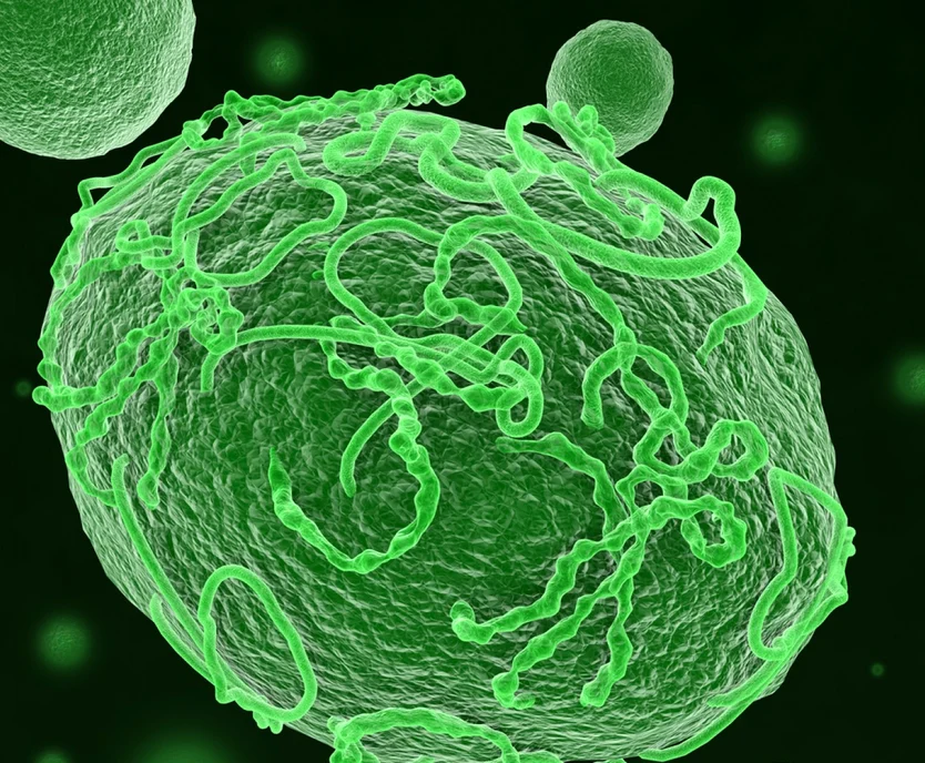 Focar de Ebola în Republica Democratică Congo Foto: shutterstock