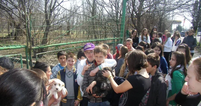 Elevii au vizitat adăpostul câinilor comunitari