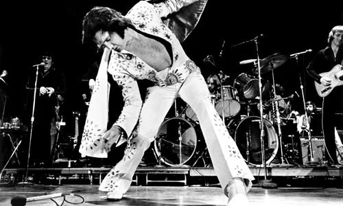 Elvis profimedia 0097097316 jpg