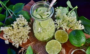 elder 2381616 640 jpeg