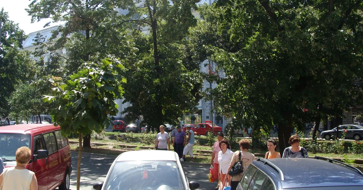 Arad: Canicula a mutat staţiile de autobuz din centrul oraşului de pe trotuare pe spaţiile verzi
