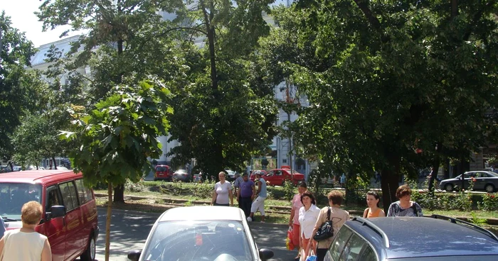 Arad: Canicula a mutat staţiile de autobuz din centrul oraşului de pe trotuare pe spaţiile verzi