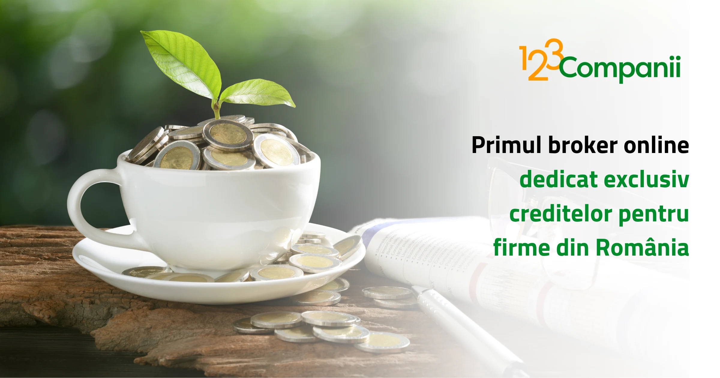 123Companii.ro — primul broker online dedicat exclusiv creditelor pentru firme din România