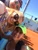 13087557 10209207514854323 3766302592514947899 n jpeg
