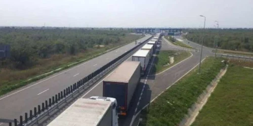 Circulaţia pe podul Calafat-Vidin va fi închisă pentru reparaţii Foto
