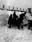 Uraganul alb: marele viscol din 1888 jpeg