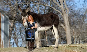 romulus, cel mai inalt magar din lume jpeg