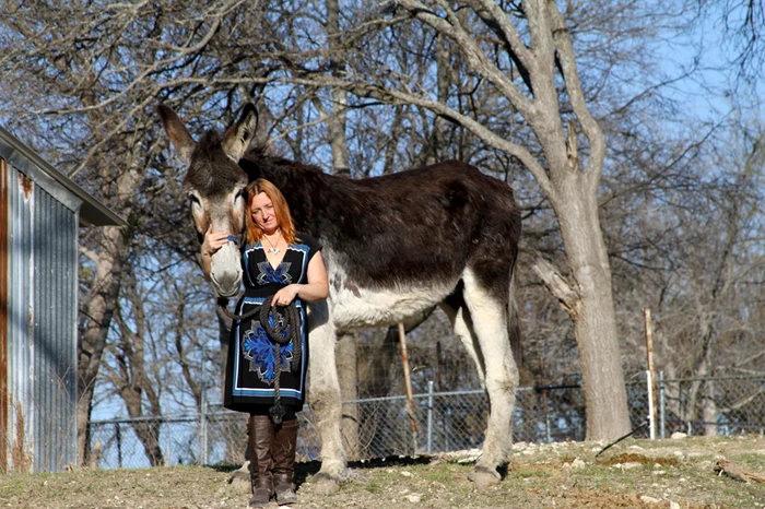 romulus, cel mai inalt magar din lume