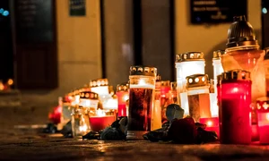 vienna 5728801 1280 jpg