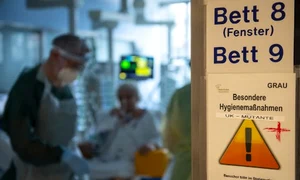 omicron regatul unit jpeg