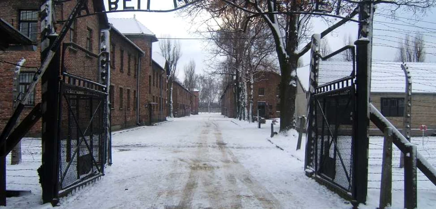 Televiziunea Română va transmite o serie de programe dedicate Zilei Internaţionale a Holocaustului FOTO TVR